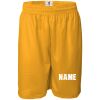 Men's Pro Mesh 9" Shorts Thumbnail